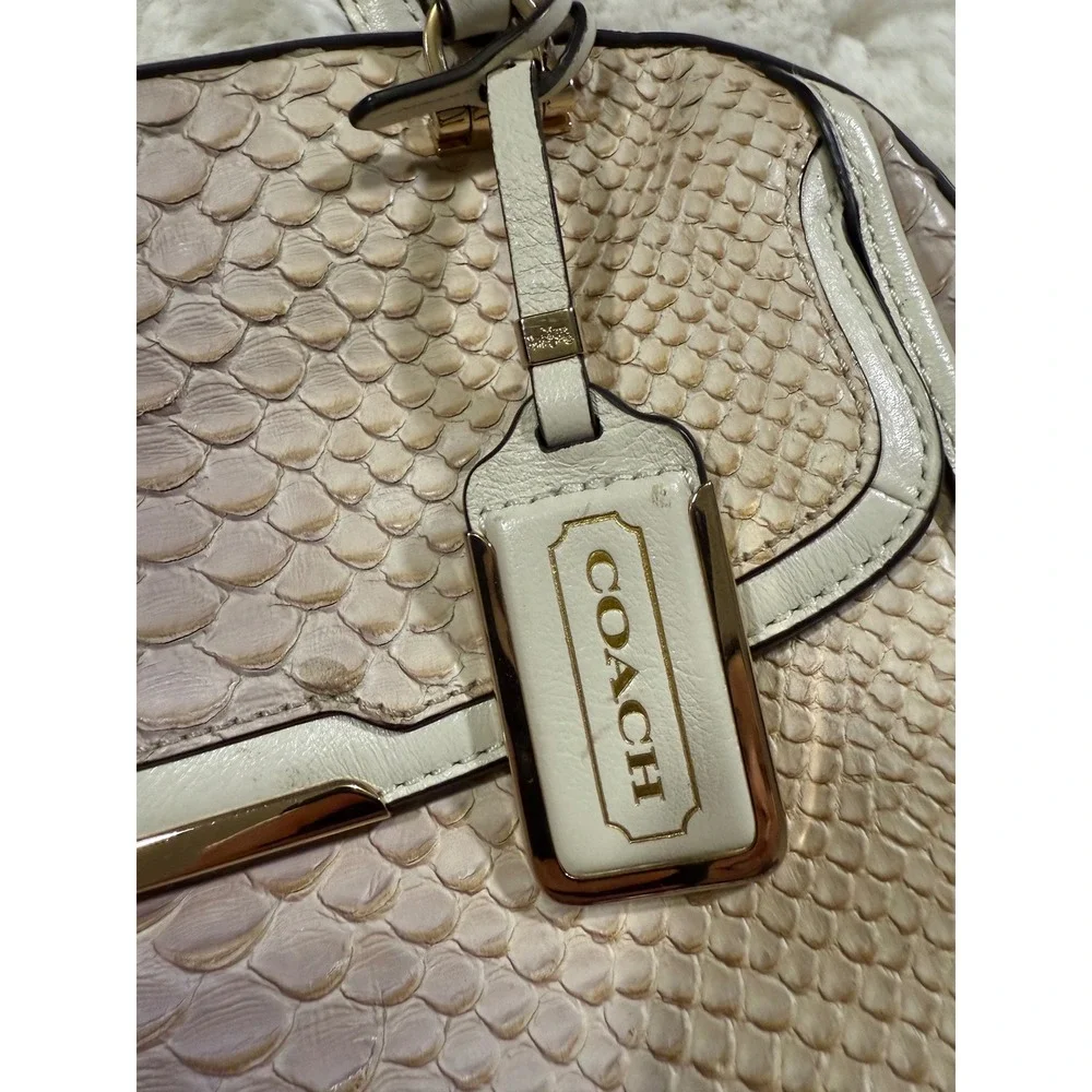 Coach Madison Pinnacle Python Ombre Snakeskin Leather Bag Purse Vintage Chic